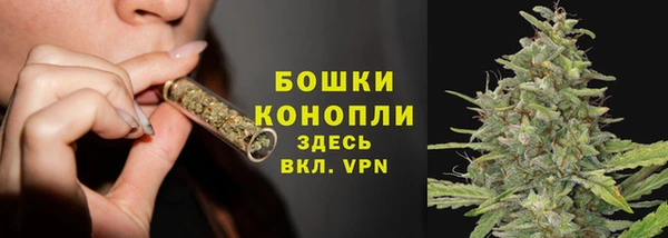 индика Нязепетровск