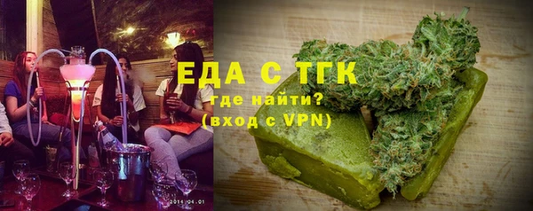 индика Нязепетровск