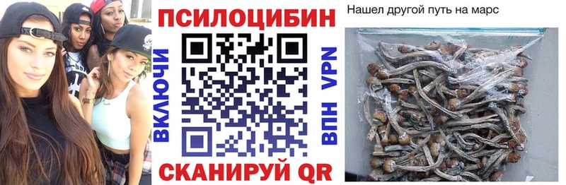 где найти   Полысаево  Галлюциногенные грибы MAGIC MUSHROOMS 