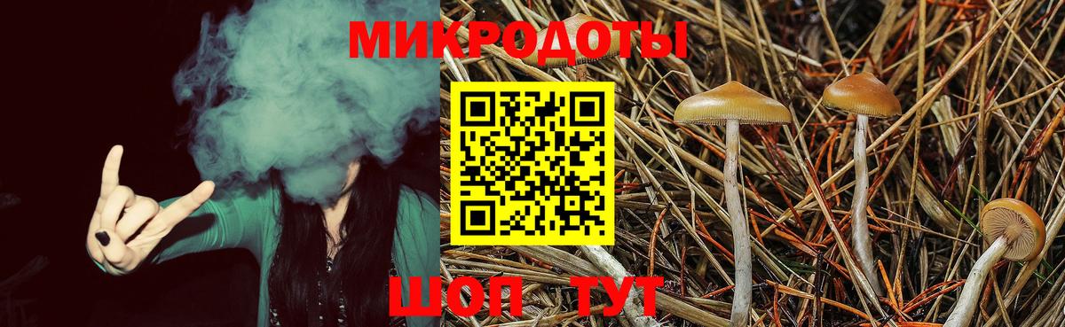 Галлюциногенные грибы Psilocybe  Вход с VPN  Полысаево 